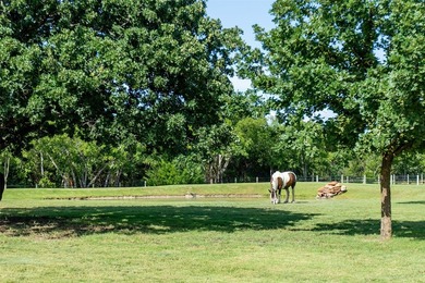 Welcome to TK Trails - a private, legacy-caliber equine estate - photo 37