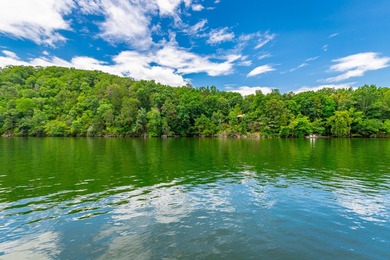 Waterfront Living at Its Finest on Soddy Lake Experience the - photo 2