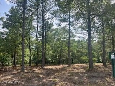 Lake Troy Douglas Acreage For Sale in West End North Carolina