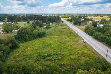 Unrestricted building lot with endless potential! Soil sites - photo 5