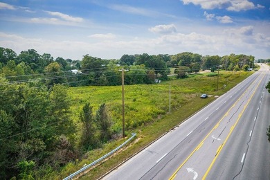Unrestricted building lot with endless potential! Soil sites - photo 6