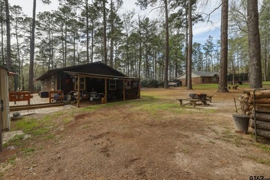 The Ultimate Holly Lake Retreat: Modern Updates & Resort Living - photo 19