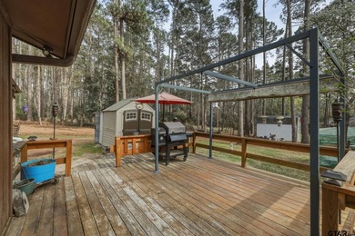 The Ultimate Holly Lake Retreat: Modern Updates & Resort Living - photo 21