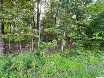 Lake Lot Off Market in Coxsackie, New York
