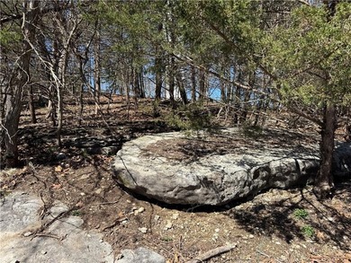 Table Rock Lake - Carroll County Lot For Sale in Holiday Island Arkansas