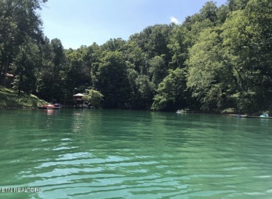 Lake Lot Sale Pending in Andersonville, Tennessee