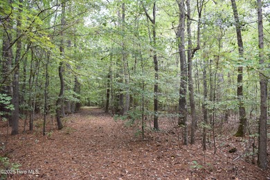 Pasquotank River Acreage Active Under Contract in Camden North Carolina