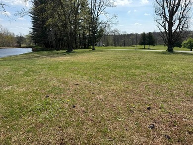 Set on 5 picturesque acres along Illinois Route 146 near Vienna - photo 46