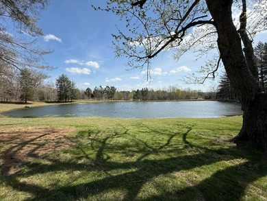 Set on 5 picturesque acres along Illinois Route 146 near Vienna - photo 48