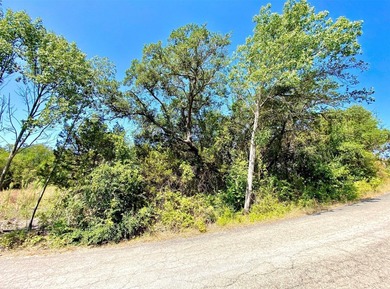 Imagine building your dream home on Lot 5106 in the gated Canyon - photo 4