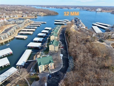Experience Lake of the Ozarks living at its finest in this - photo 40