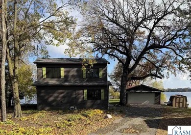 Lake Home For Sale in Madison Lake, Minnesota
