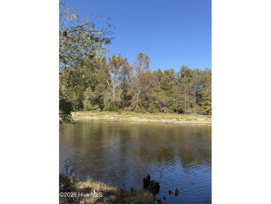 (private lake, pond, creek) Lot For Sale in Burgaw North Carolina