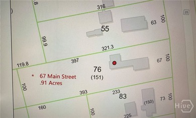 91 ACRES ZONED R-I-N LOCATED DIRECTLY ACROSS FROM THE GEORGIA - photo 2
