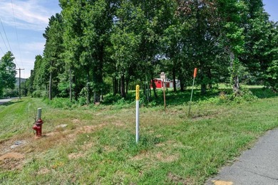 Rare opportunity to own a large collection of city lots tucked - photo 14