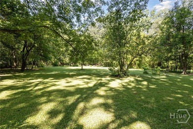 91 ACRES ZONED R-I-N LOCATED DIRECTLY ACROSS FROM THE GEORGIA - photo 9