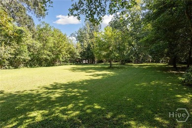 91 ACRES ZONED R-I-N LOCATED DIRECTLY ACROSS FROM THE GEORGIA - photo 10
