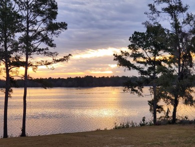 Lake Lot For Sale in Naylor, Georgia