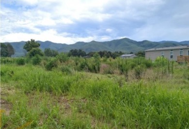Lake Lot For Sale in Jonesborough, Tennessee
