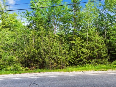 Lake Acreage For Sale in Manchester, Maine