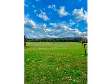 22 acres of private, waterfront land on Table Rock Lake with - photo 20