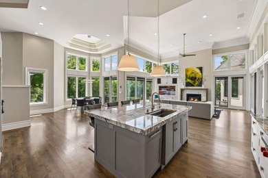 Lake Minnetonka living at its finest. Better than new - photo 29