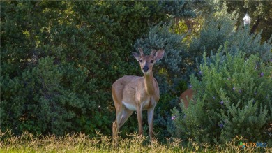 Brand new Roof, Fresh interior paint and Handicap accessible!!!
