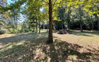 (private lake, pond, coastal) Lot For Sale in Hayesville North Carolina
