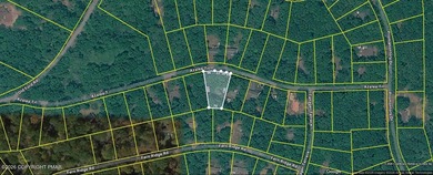 (private lake, pond, coastal) Lot For Sale in White Haven Pennsylvania