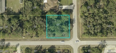 Lehigh Acres Area Lot For Sale in Lehigh Acres Florida
