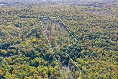 Rocky Pond Acreage For Sale in Orland Maine
