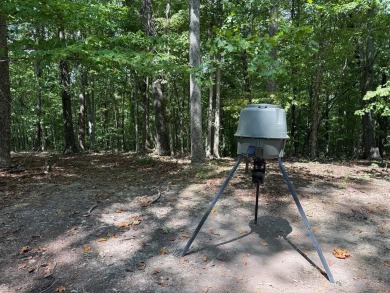 Lake Acreage For Sale in Hilham, Tennessee