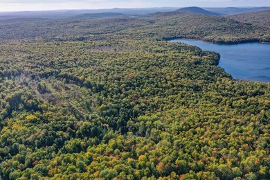 Tucked away on 14.94 private acres along Wedge Heights Road - photo 4