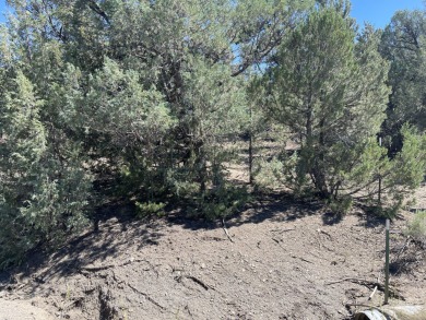 Heron Lake Lot For Sale in Los Ojos New Mexico
