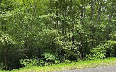 Lake Chatuge Lot For Sale in Hiawassee Georgia