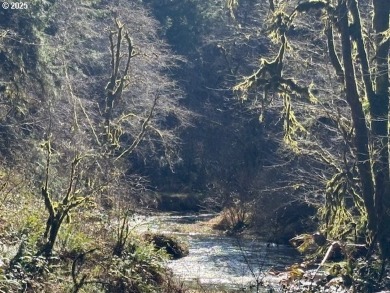 (private lake, pond, creek) Acreage For Sale in Blodgett Oregon