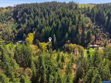 A custom chalet-style home surrounded by natural forest on - photo 3
