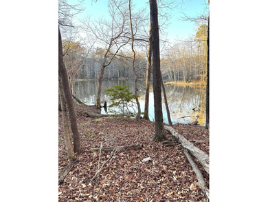 One-owner custom built log home on 2.5 acres on a small lake - photo 32