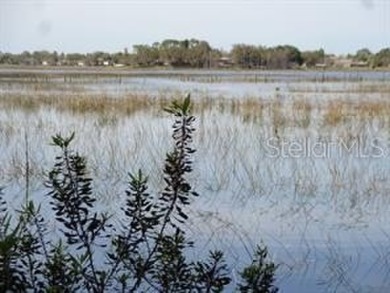 Louise Lake Lot For Sale in Deltona Florida