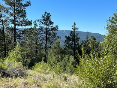 Lake Acreage For Sale in Chama, New Mexico