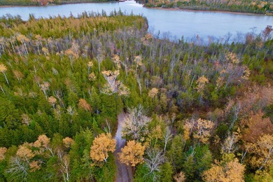 Over 9 acres Grand Lake with over 1000 ft of pristine lakefront - photo 2