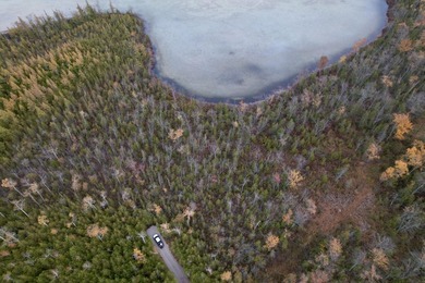 Over 9 acres Grand Lake with over 1000 ft of pristine lakefront - photo 6