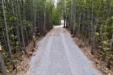 Over 9 acres Grand Lake with over 1000 ft of pristine lakefront - photo 8