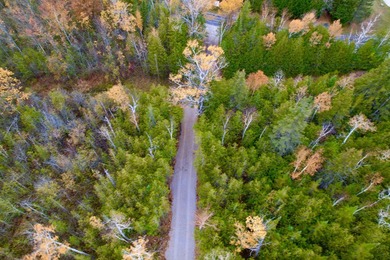 Over 9 acres Grand Lake with over 1000 ft of pristine lakefront - photo 9