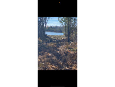 Over 9 acres Grand Lake with over 1000 ft of pristine lakefront - photo 10