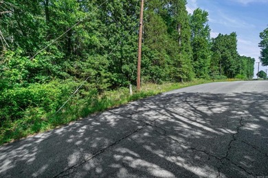 Rare opportunity to own a large collection of city lots tucked - photo 12