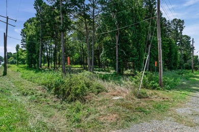 Rare opportunity to own a large collection of city lots tucked - photo 17