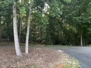 Lake Hartwell Lot For Sale in Lavonia Georgia