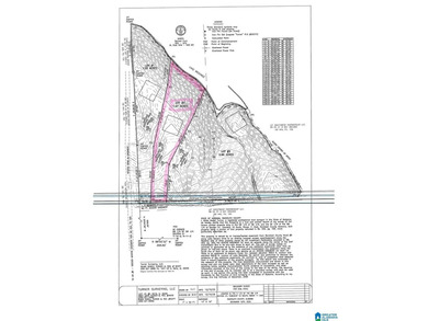 JUST REDUCED TO SALE THIS SUMMER!!!! Wonderful large cove lot - photo 2
