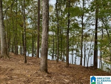JUST REDUCED TO SALE THIS SUMMER!!!! Wonderful large cove lot - photo 4